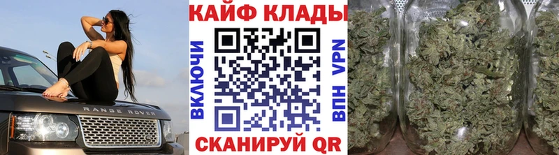 Купить закладку Кудрово Cocaine MEGA Марихуана