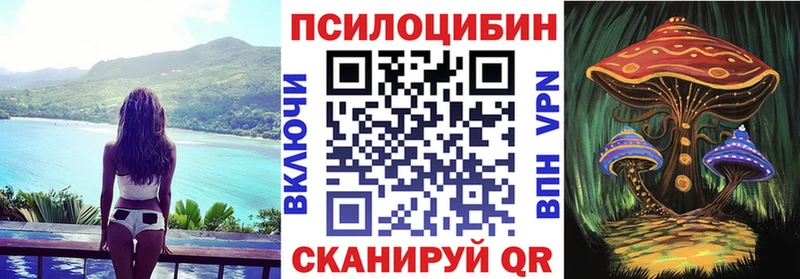 гидра ссылка  Кудрово  Галлюциногенные грибы ЛСД 